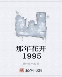 那年花开1995章节列表