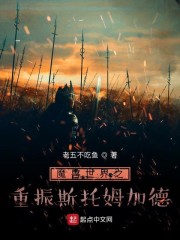 魔兽世界之重振斯托姆加德章节列表