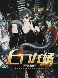 上门龙婿林飞章节列表