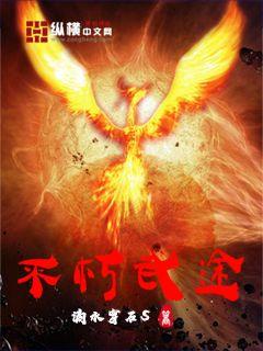 不朽武途章节列表