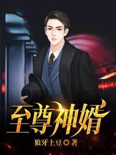 至尊神婿叶昊郑漫儿章节列表