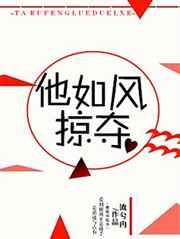 他如风掠夺章节列表