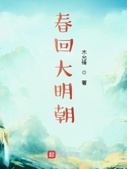 杨丰章节列表