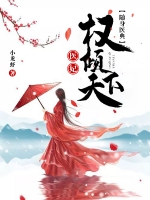花痴医妃权倾天下戚卿苒燕北溟章节列表