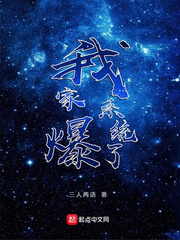 我家系统爆了章节列表