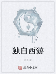 独自西游章节列表