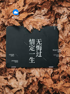 一胎俩宝老婆大人别想逃章节列表