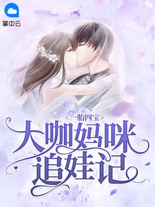 一胎四宝：大咖妈咪追娃记章节列表