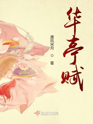 华亭赋章节列表