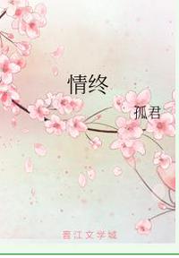 情终章节列表