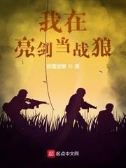 王野(寂寞剑客)我在亮剑当战狼t章节列表
