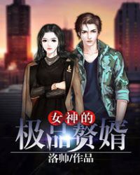 女神的极品赘婿章节列表