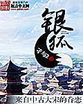 银狐章节列表