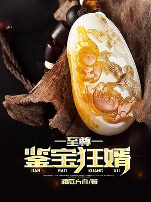 至尊鉴宝狂婿章节列表