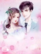 最强入赘女婿叶辰萧初然章节列表